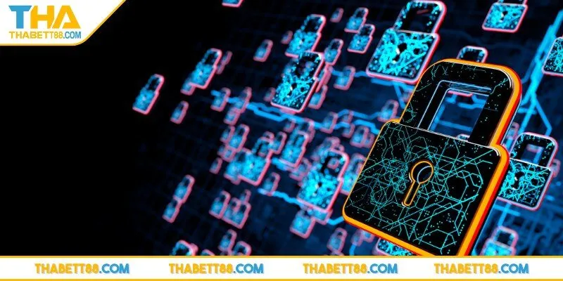 Thu thập dữ liệu nhằm cải thiện dịch vụ và an toàn về quyền lợi người dùng