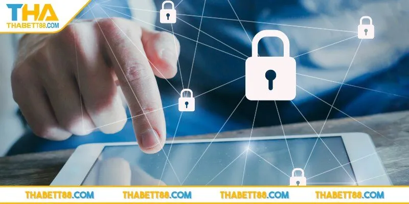 Cam kết quyền riêng tư THABET với người dùng